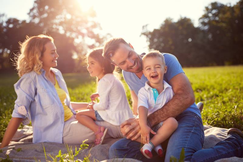 Young Family A cheerful young family with children relax in a field on a sunny day